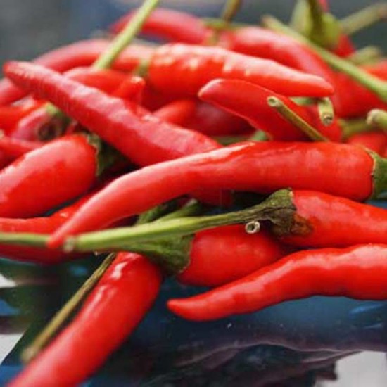 Bird Eye Chilly Red