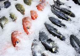 Frozen Fish