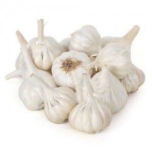 Garlic Small