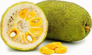 Jackfruit Kg