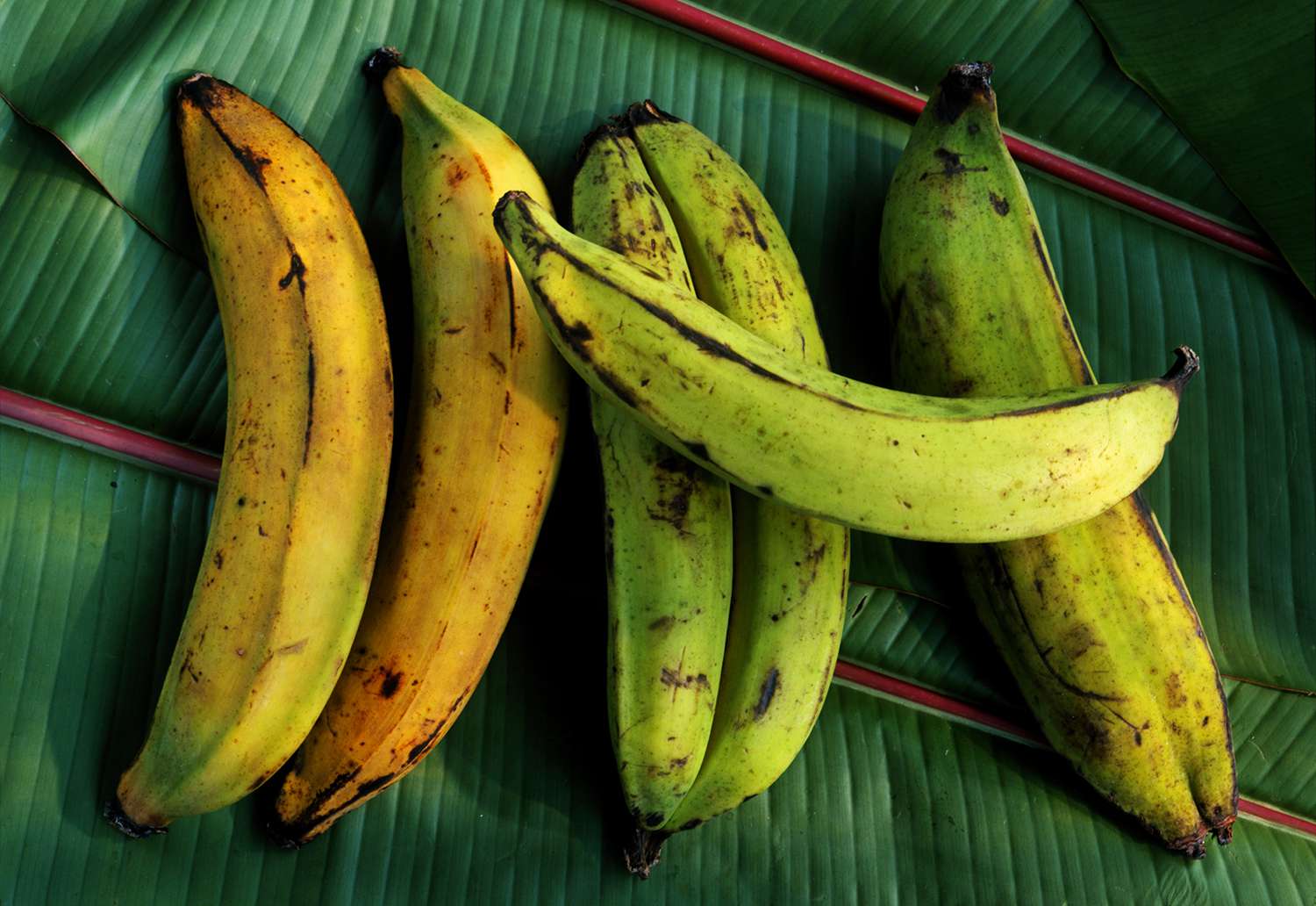 Plantain Fruit
