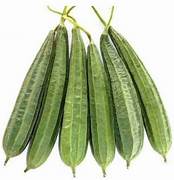 Thuriya (ridge Gourd)