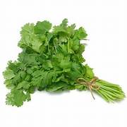 Coriander Leaves