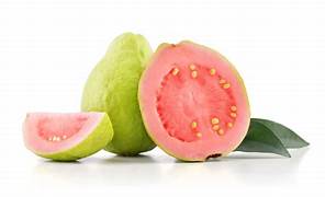 Guava small
