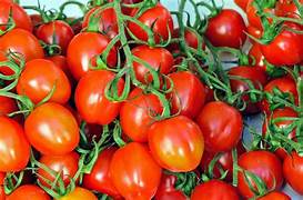 Tomato